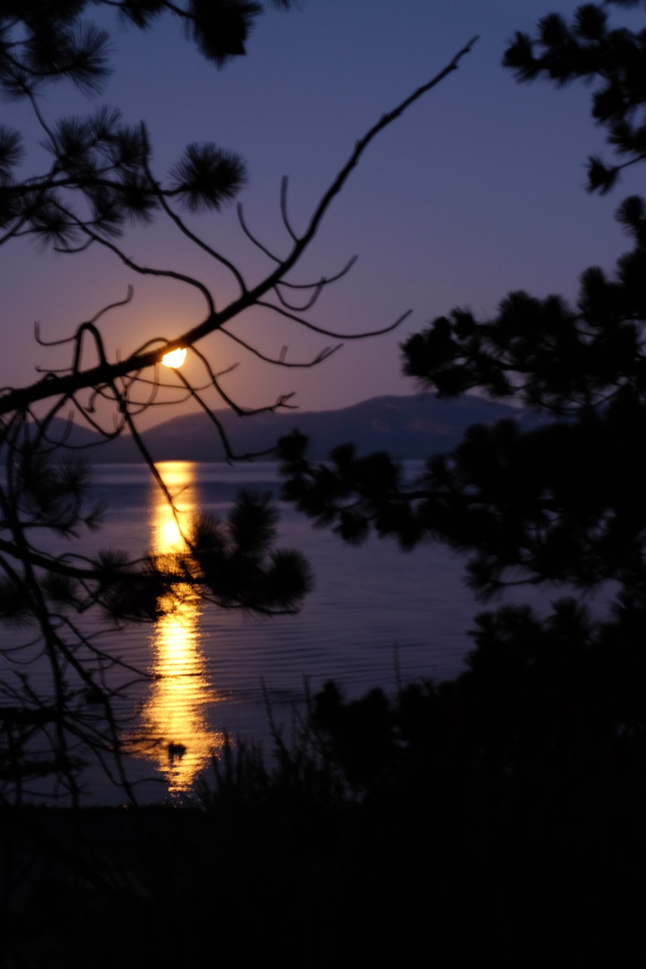 Herald of Tahoe Dawn